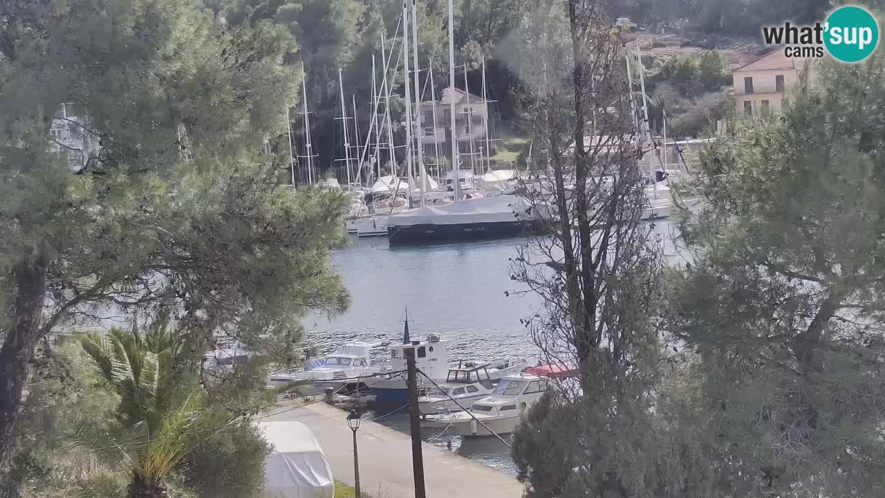 Kamera Hvar Vrboska marina | | Dalmacija