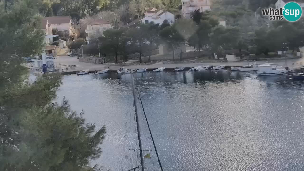 Camera Hvar Vrboska marina | isla de Hvar | Dalmacia