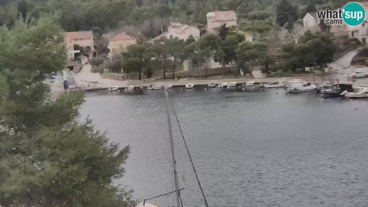 Webcam Hvar Vrboska marina | Dalmazia