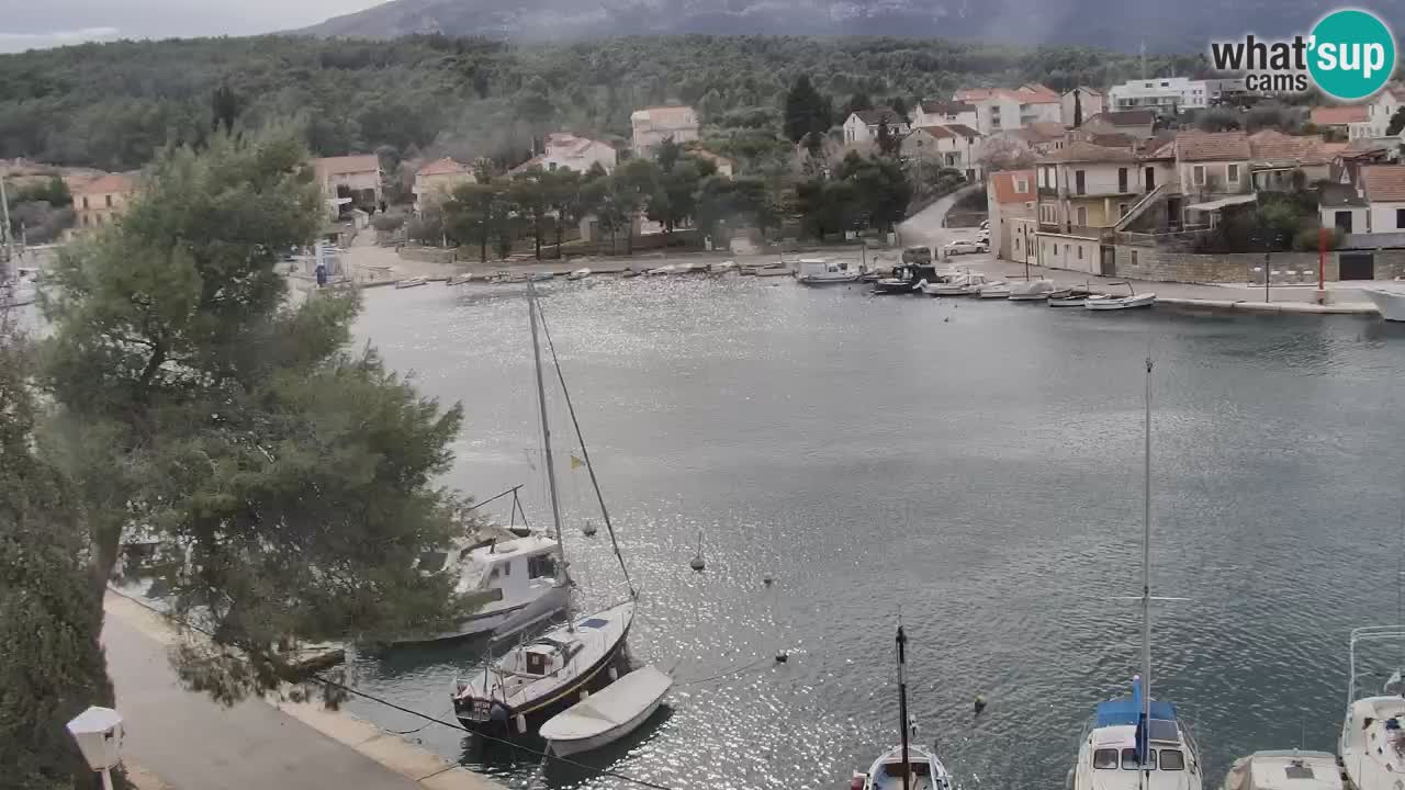 Web kamera Hvar Vrboska marina | otok Hvar | Dalmacija