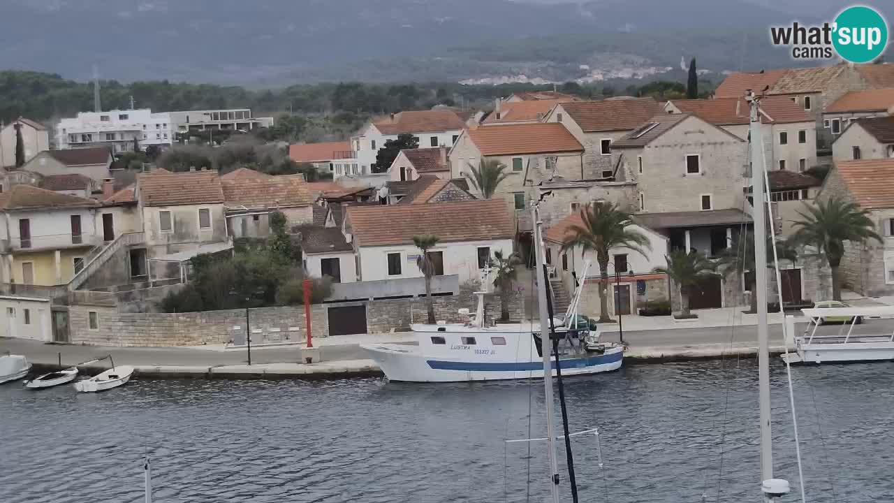 Camera Hvar Vrboska marina | isla de Hvar | Dalmacia