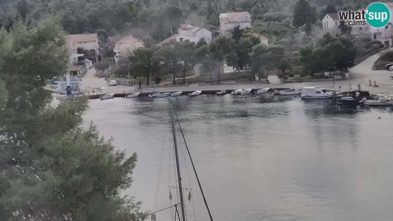 Kamera Hvar Vrboska marina | | Dalmacija