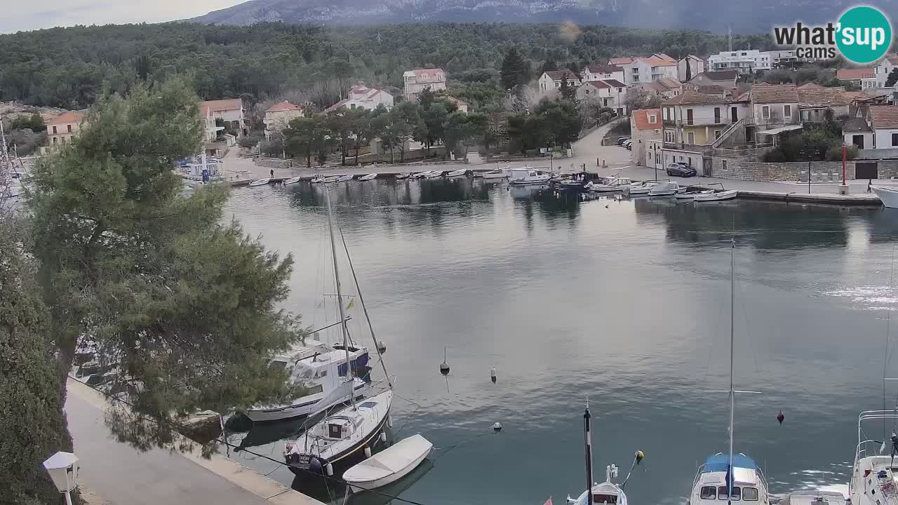 Webcam Vrboska marina | Hvar Insel | Dalmatien