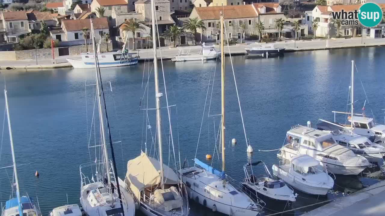 Camera Hvar Vrboska marina | isla de Hvar | Dalmacia