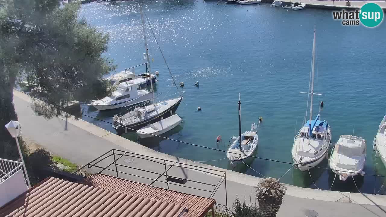 Livecam Hvar Vrboska marina | Île de Hvar | Dalmatia