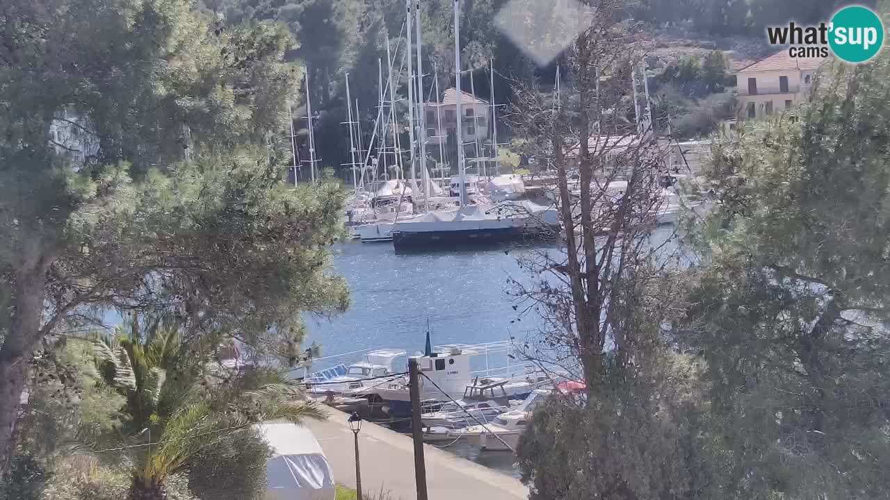 Web kamera Hvar Vrboska marina | otok Hvar | Dalmacija