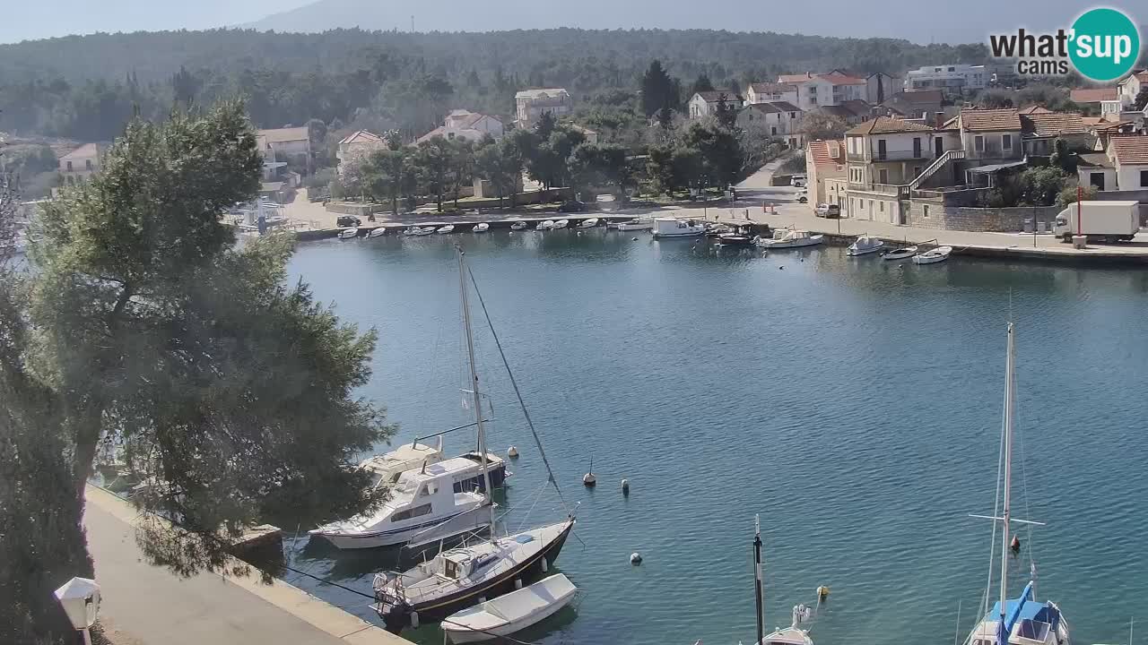 Camera Hvar Vrboska marina | isla de Hvar | Dalmacia