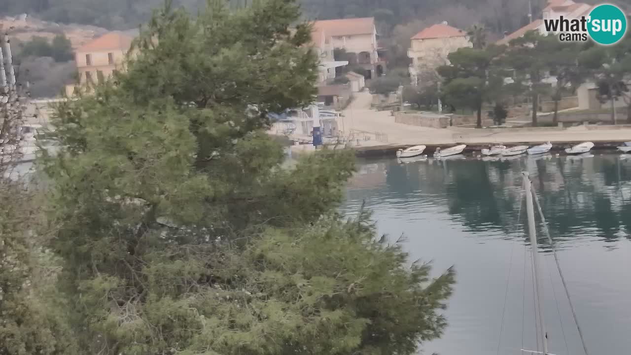 Livecam Vrboska marina | Hvar island | Dalmatia