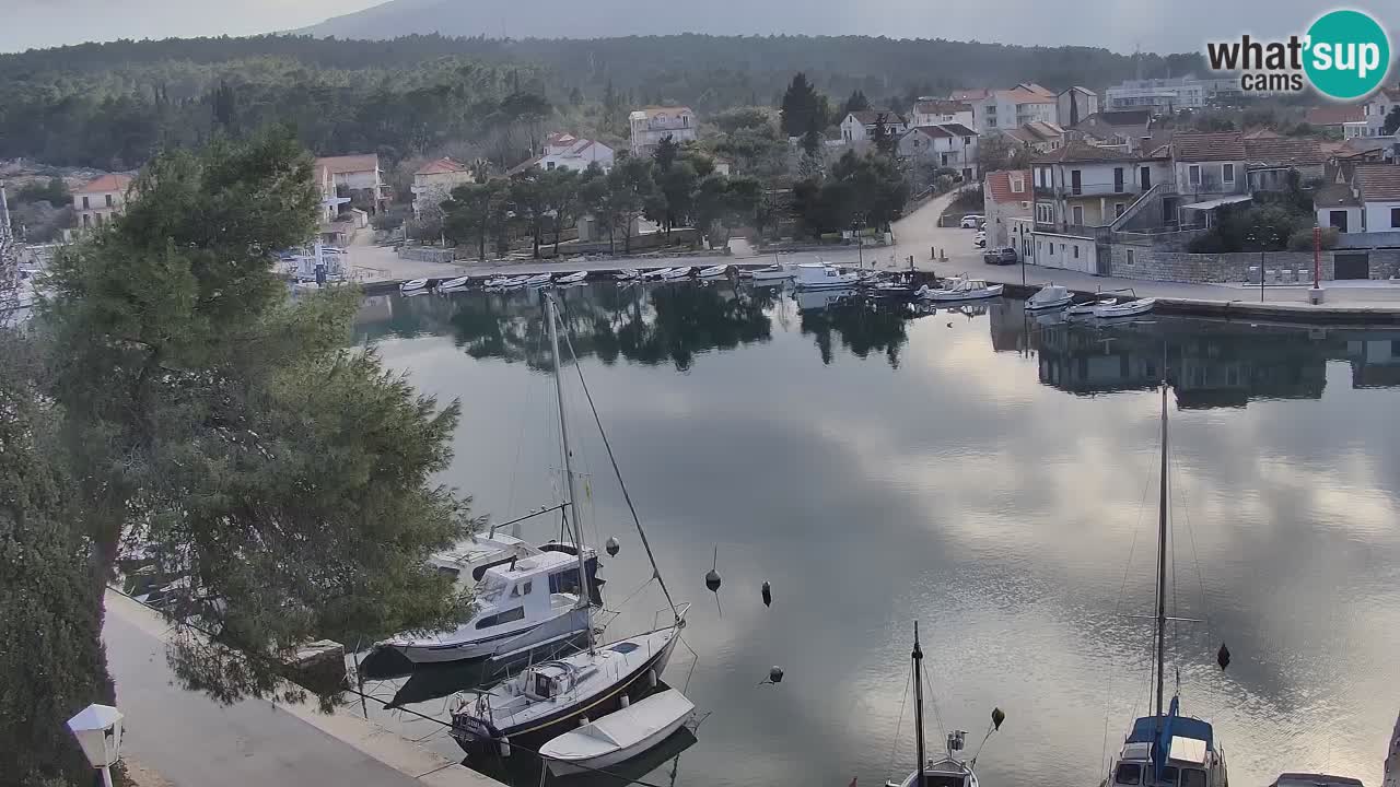 Camera Hvar Vrboska marina | isla de Hvar | Dalmacia
