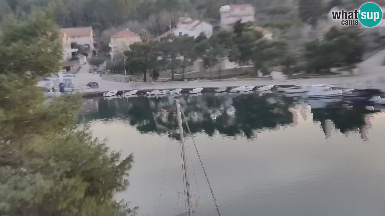 Webcam Hvar Vrboska marina | Dalmazia