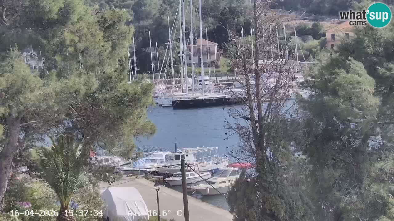 Camera Hvar Vrboska marina | isla de Hvar | Dalmacia
