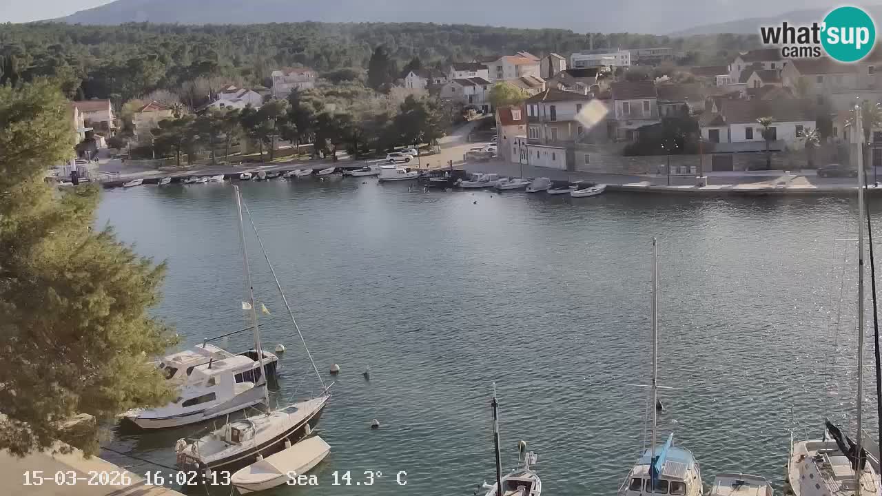 Livecam Hvar Vrboska marina | Île de Hvar | Dalmatia