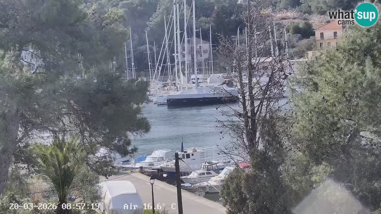 Camera Hvar Vrboska marina | isla de Hvar | Dalmacia