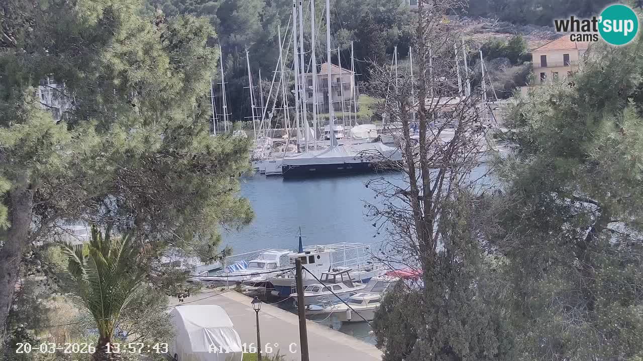 Camera Hvar Vrboska marina | isla de Hvar | Dalmacia