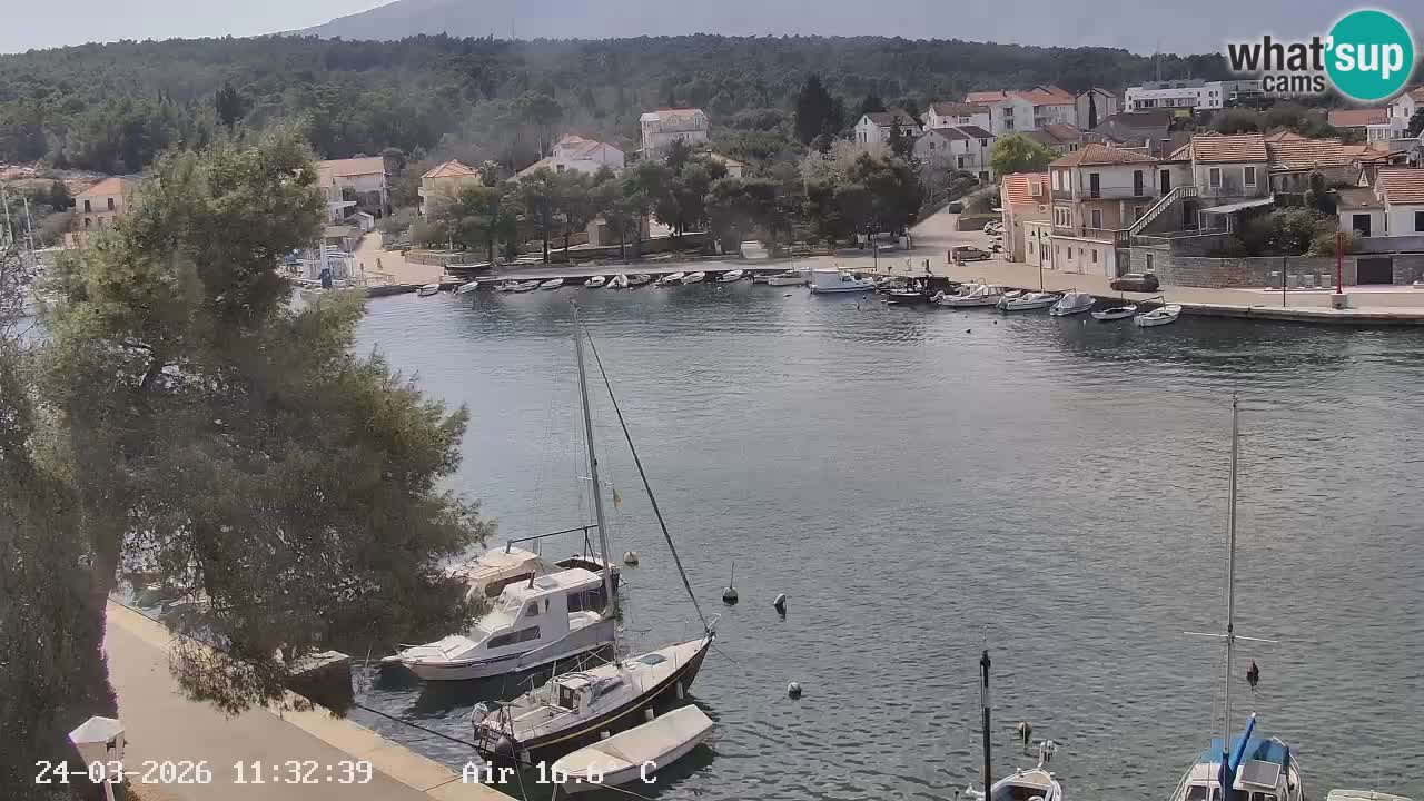Webcam Vrboska marina | Hvar Insel | Dalmatien