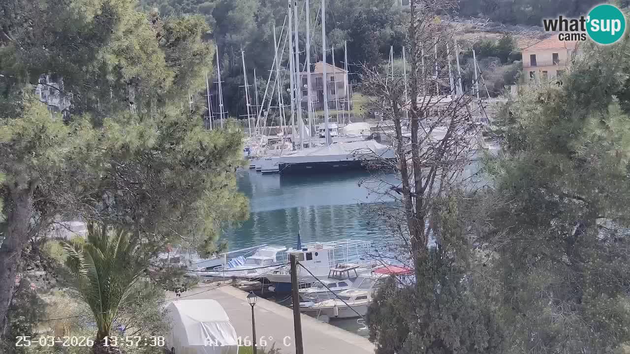 Kamera Hvar Vrboska marina | | Dalmacija