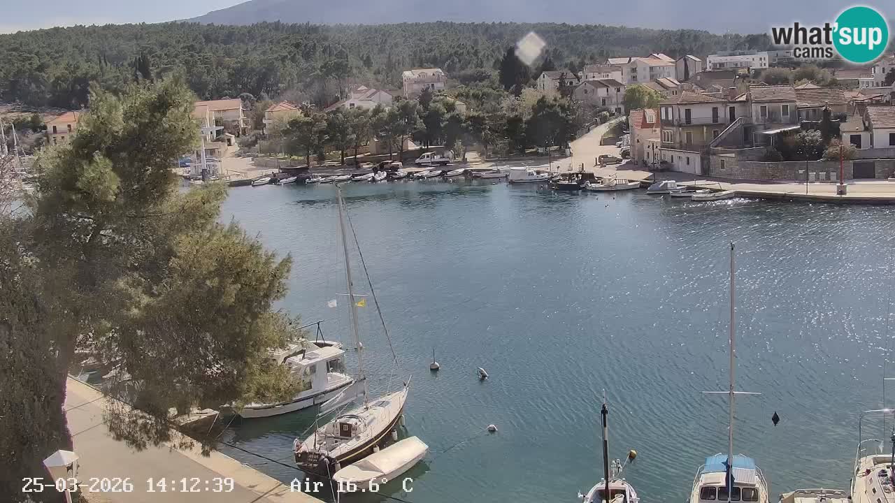 Webcam Hvar Vrboska marina | Dalmazia