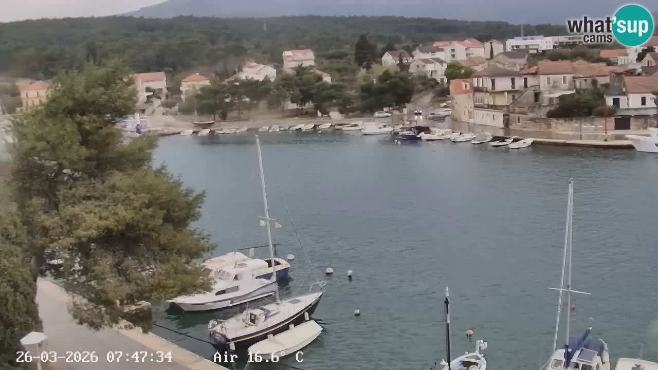 Camera Hvar Vrboska marina | isla de Hvar | Dalmacia
