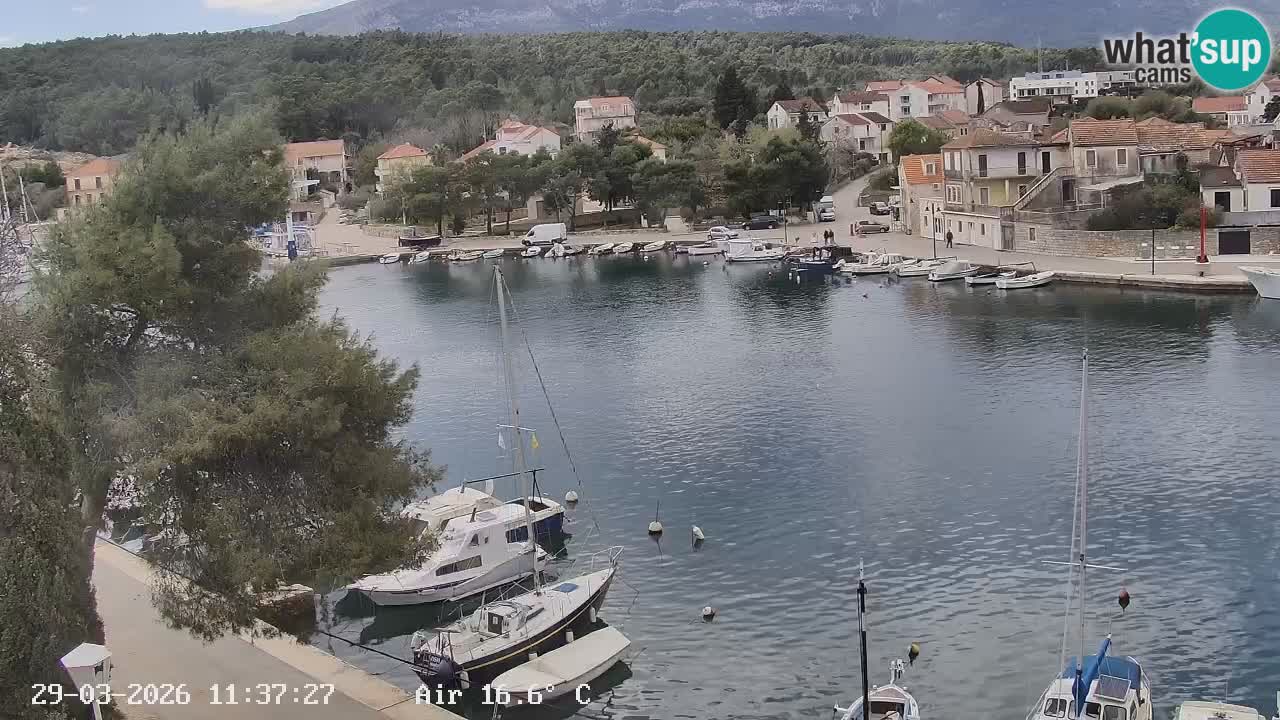 Web kamera Hvar Vrboska marina | otok Hvar | Dalmacija