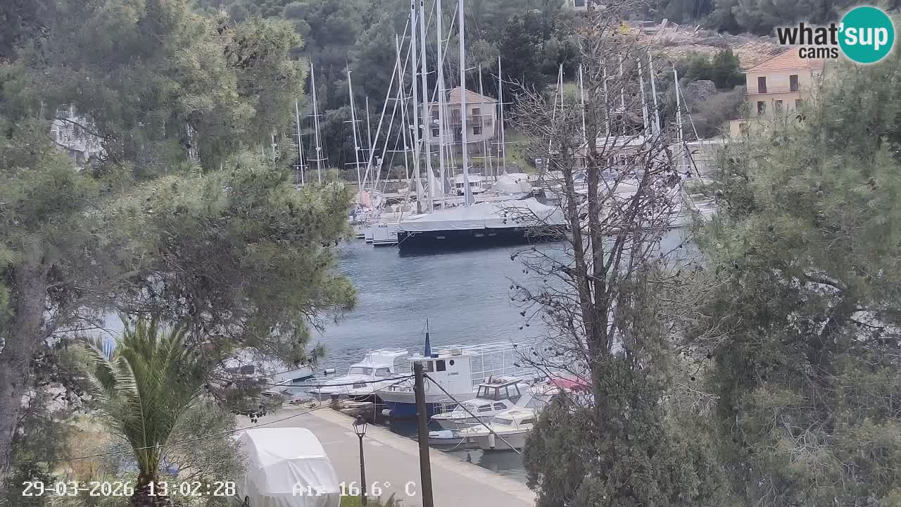 Web kamera Hvar Vrboska marina | otok Hvar | Dalmacija