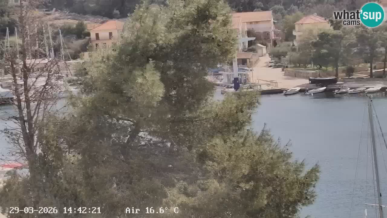 Livecam Hvar Vrboska marina | Île de Hvar | Dalmatia