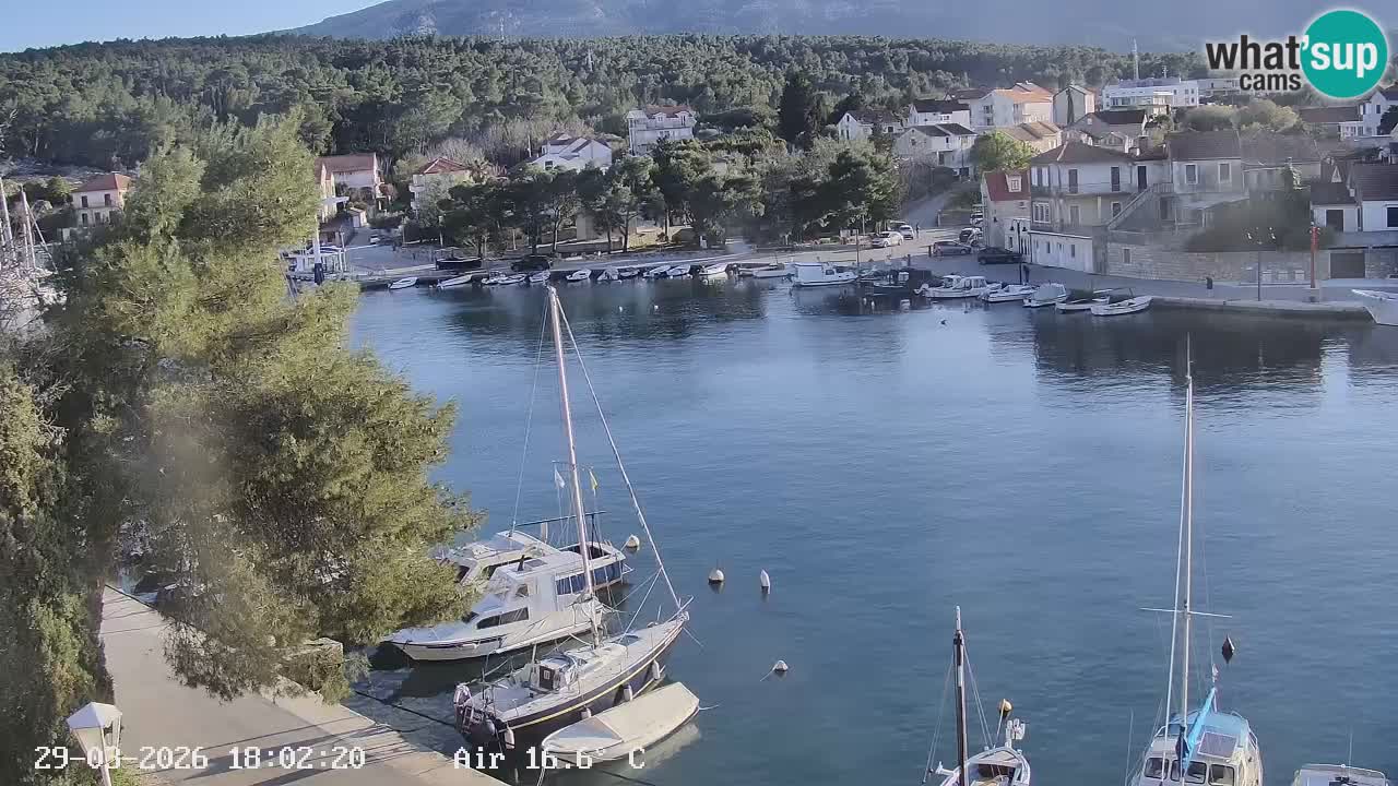 Camera Hvar Vrboska marina | isla de Hvar | Dalmacia