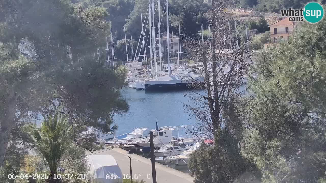 Camera Hvar Vrboska marina | isla de Hvar | Dalmacia