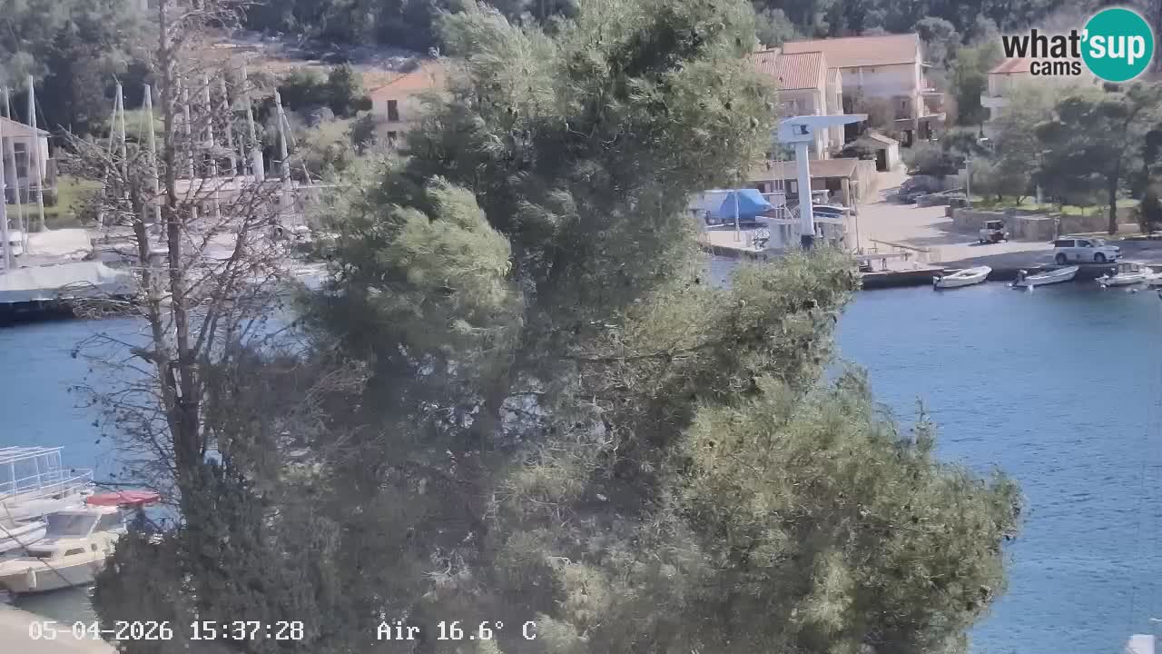 Livecam Vrboska marina | Hvar island | Dalmatia