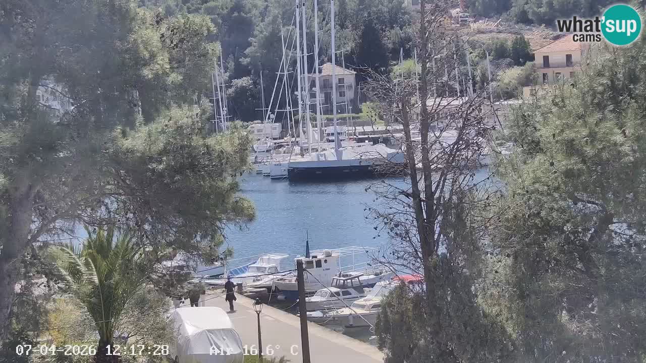 Livecam Hvar Vrboska marina | Île de Hvar | Dalmatia