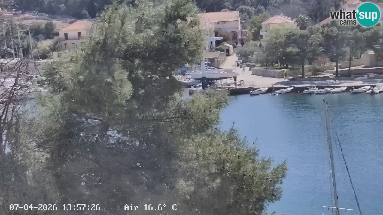 Camera Hvar Vrboska marina | isla de Hvar | Dalmacia