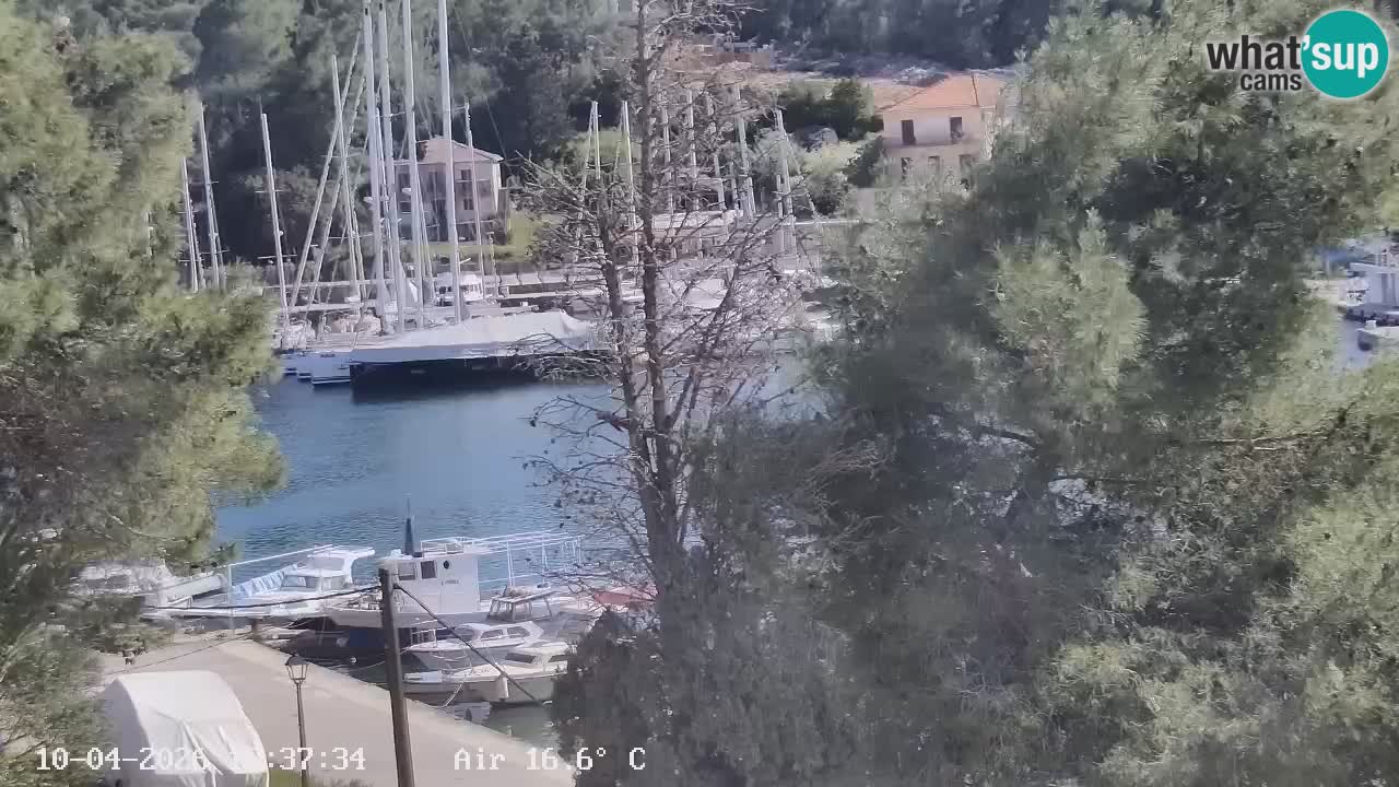 Livecam Hvar Vrboska marina | Île de Hvar | Dalmatia