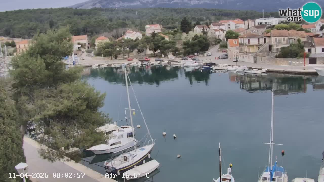 Livecam Hvar Vrboska marina | Île de Hvar | Dalmatia