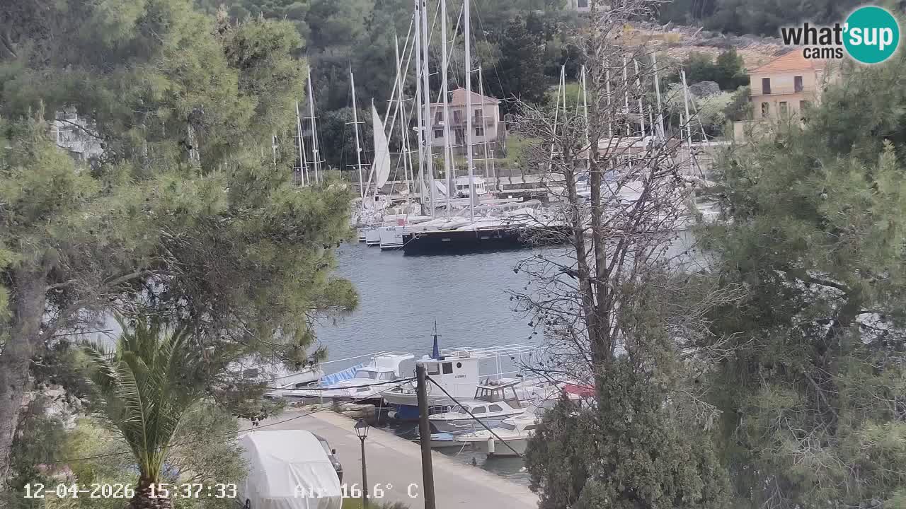 Livecam Hvar Vrboska marina | Île de Hvar | Dalmatia
