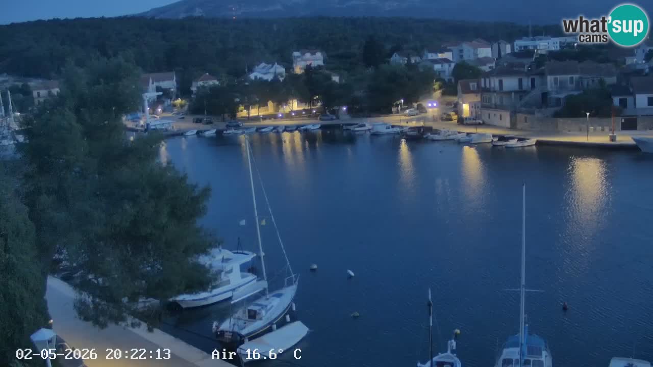 Livecam Hvar Vrboska marina | Île de Hvar | Dalmatia