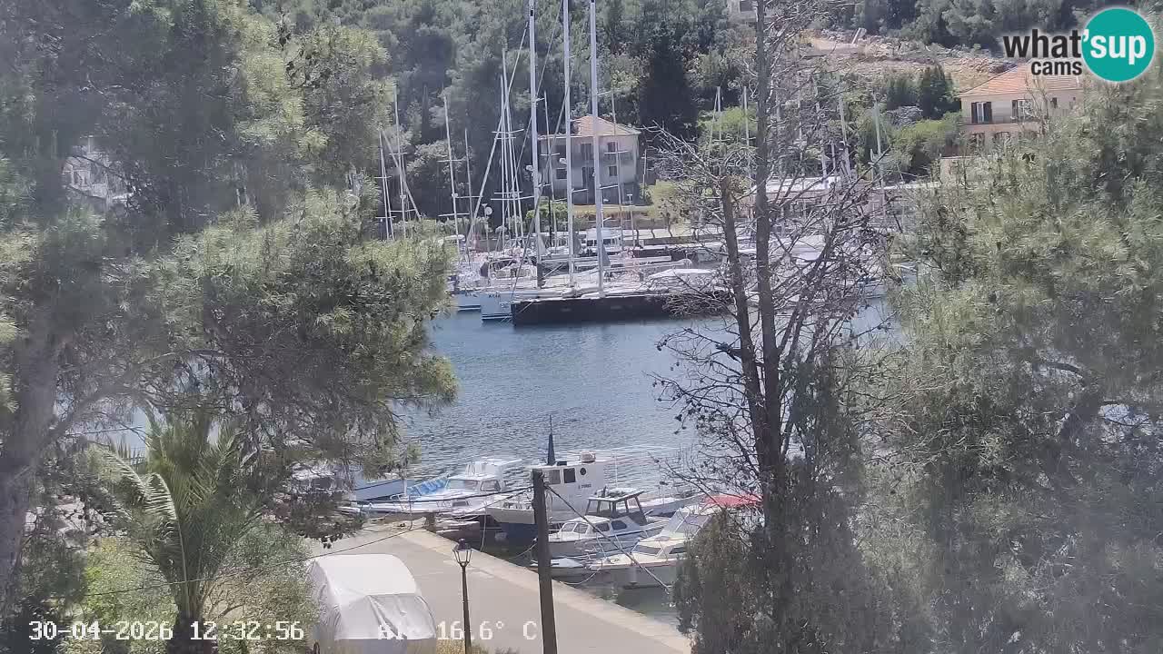 Livecam Vrboska marina | Hvar island | Dalmatia