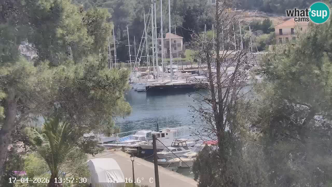 Webcam Hvar Vrboska marina | Dalmazia