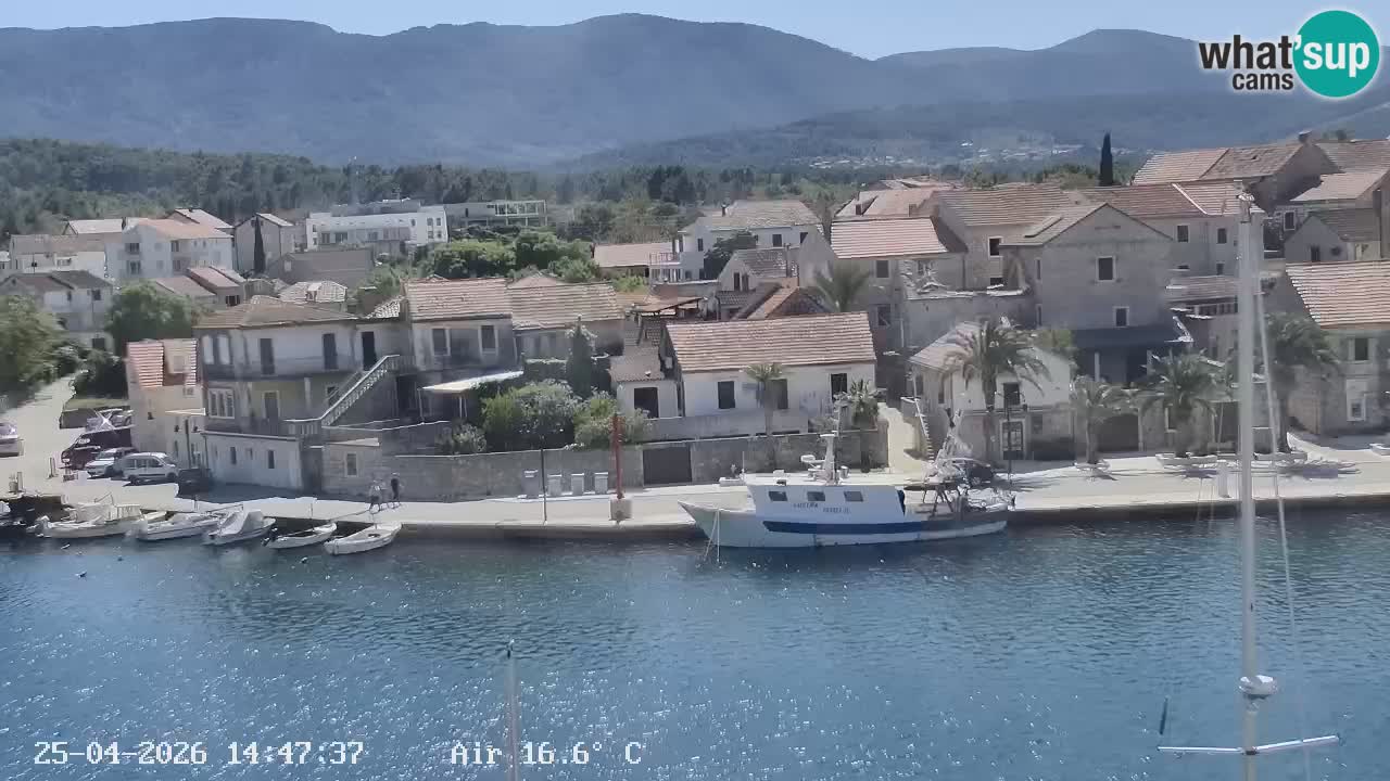 Camera Hvar Vrboska marina | isla de Hvar | Dalmacia