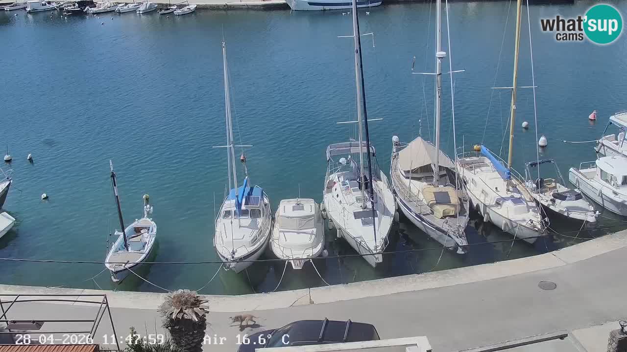 Livecam Vrboska marina | Hvar island | Dalmatia