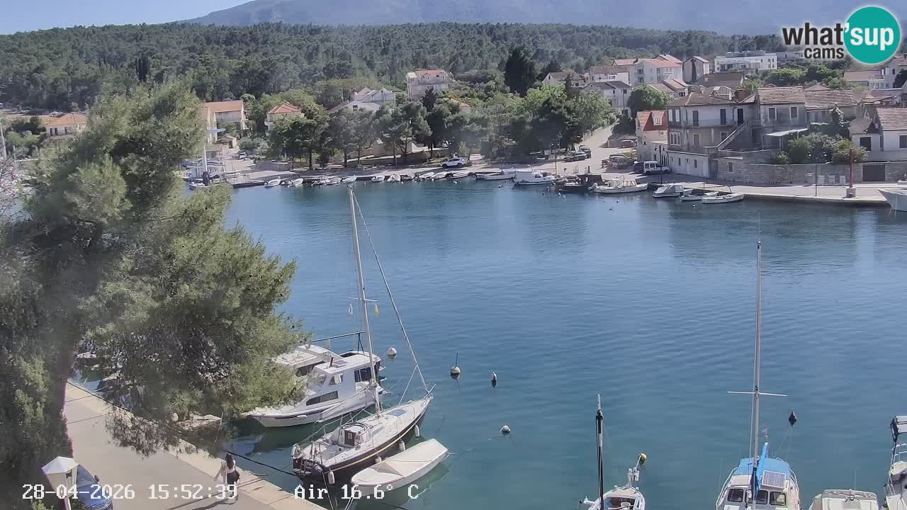 Camera Hvar Vrboska marina | isla de Hvar | Dalmacia