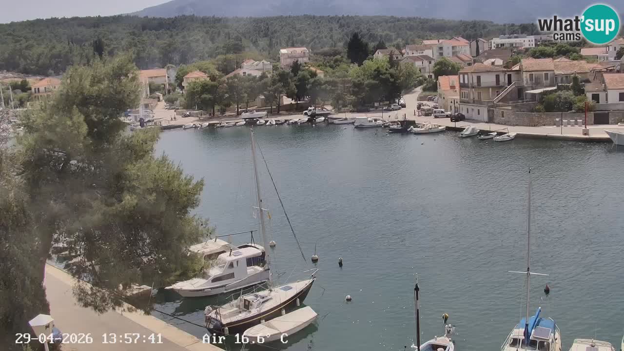 Livecam Hvar Vrboska marina | Île de Hvar | Dalmatia