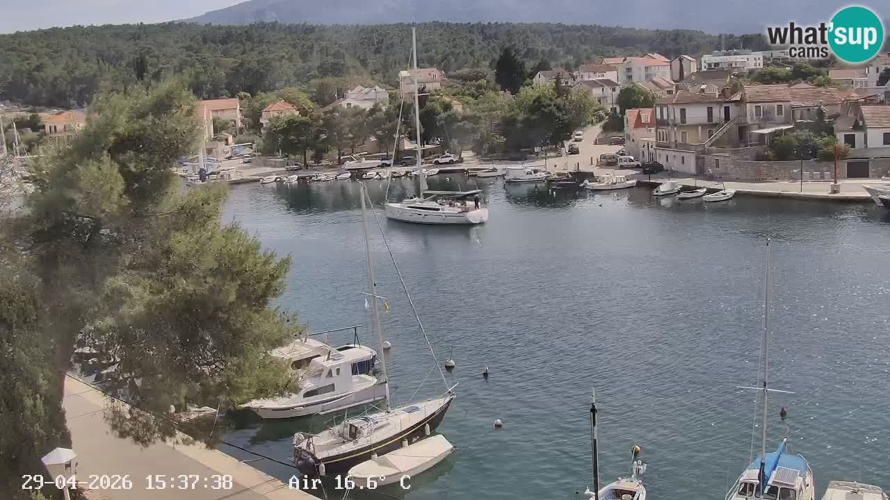 Web kamera Hvar Vrboska marina | otok Hvar | Dalmacija