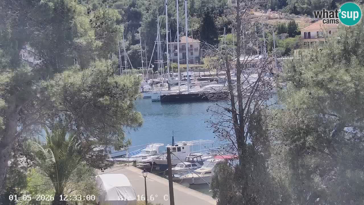 Livecam Vrboska marina | Hvar island | Dalmatia