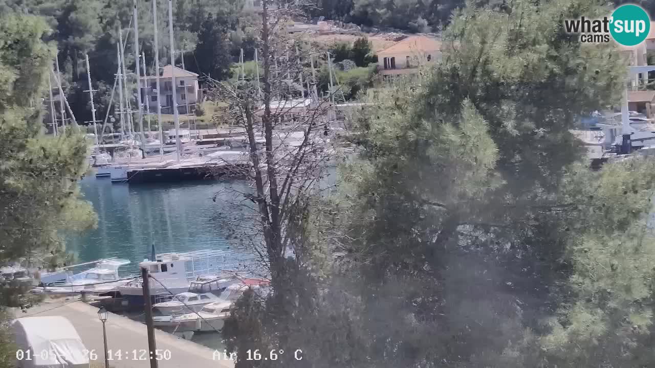 Camera Hvar Vrboska marina | isla de Hvar | Dalmacia