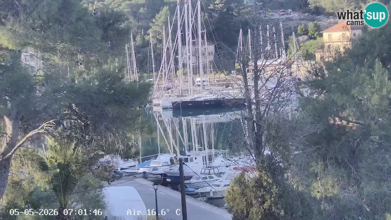 Camera Hvar Vrboska marina | isla de Hvar | Dalmacia