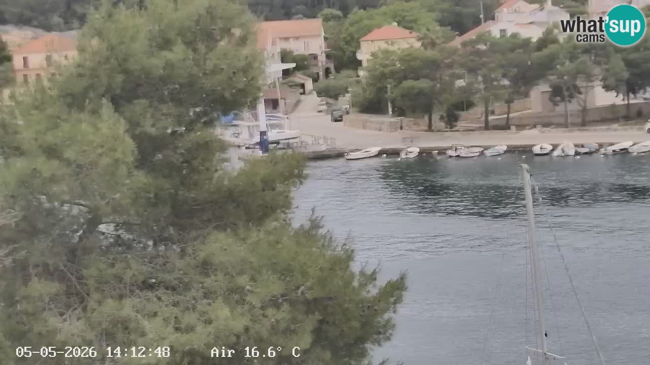 Livecam Hvar Vrboska marina | Île de Hvar | Dalmatia