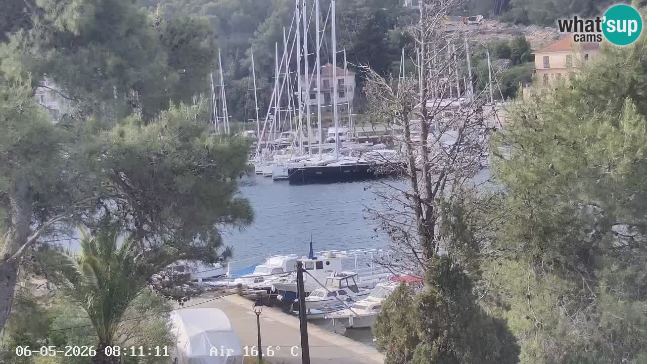 Livecam Hvar Vrboska marina | Île de Hvar | Dalmatia