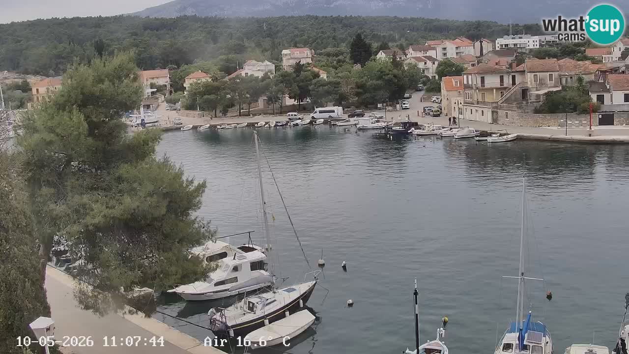 Camera Hvar Vrboska marina | isla de Hvar | Dalmacia