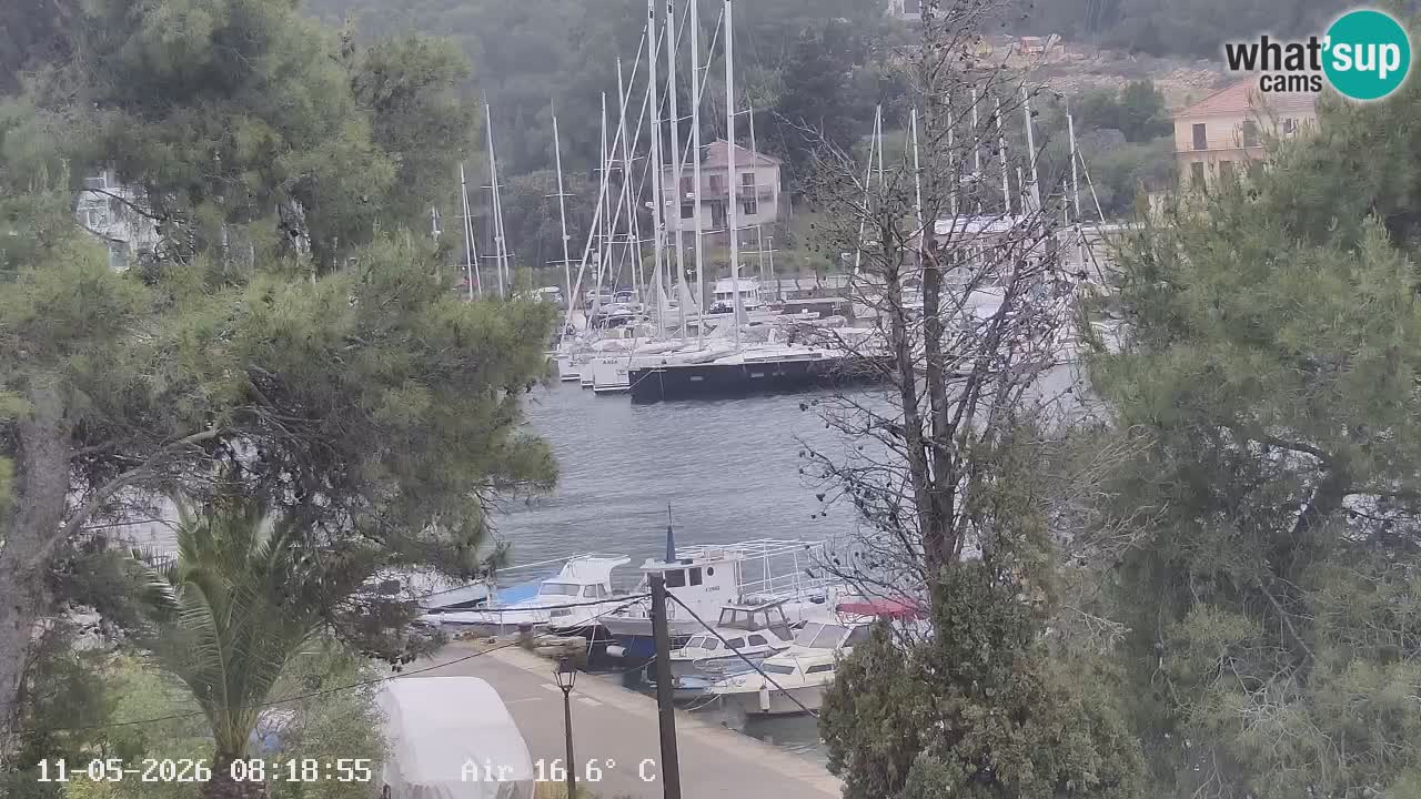 Camera Hvar Vrboska marina | isla de Hvar | Dalmacia