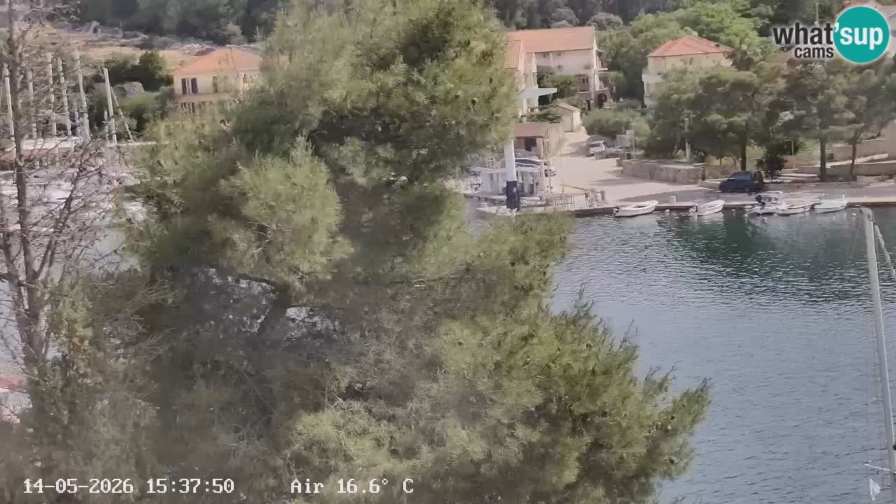 Camera Hvar Vrboska marina | isla de Hvar | Dalmacia