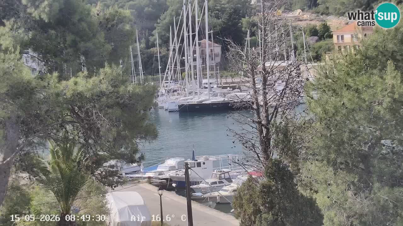 Livecam Hvar Vrboska marina | Île de Hvar | Dalmatia